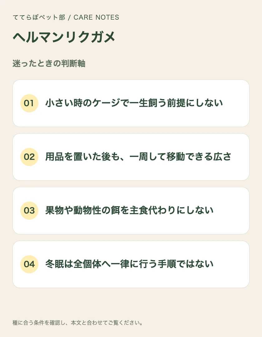 ヘルマンリクガメの迷ったときの判断軸