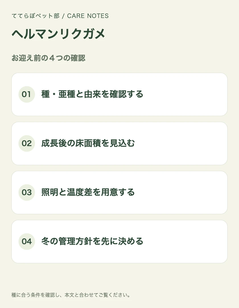 ヘルマンリクガメのお迎え前に確認する4項目
