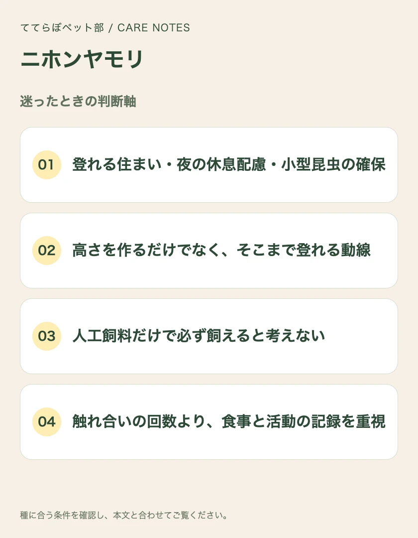 ニホンヤモリの迷ったときの判断軸