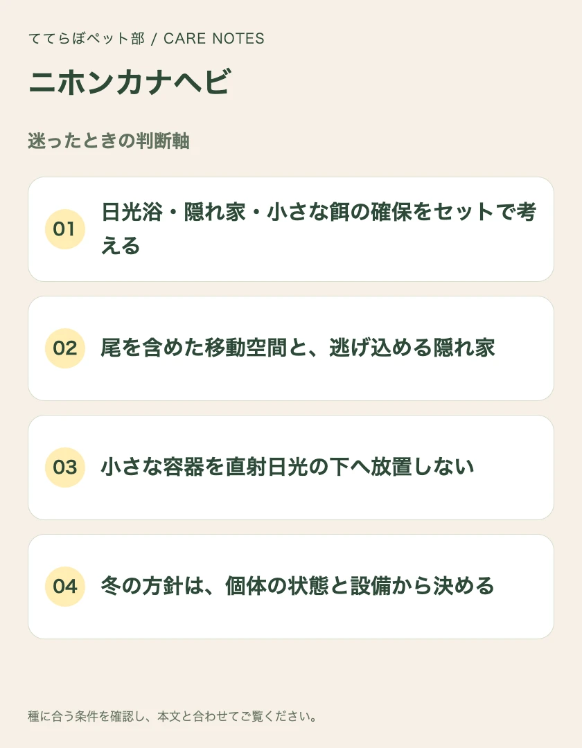 ニホンカナヘビの迷ったときの判断軸