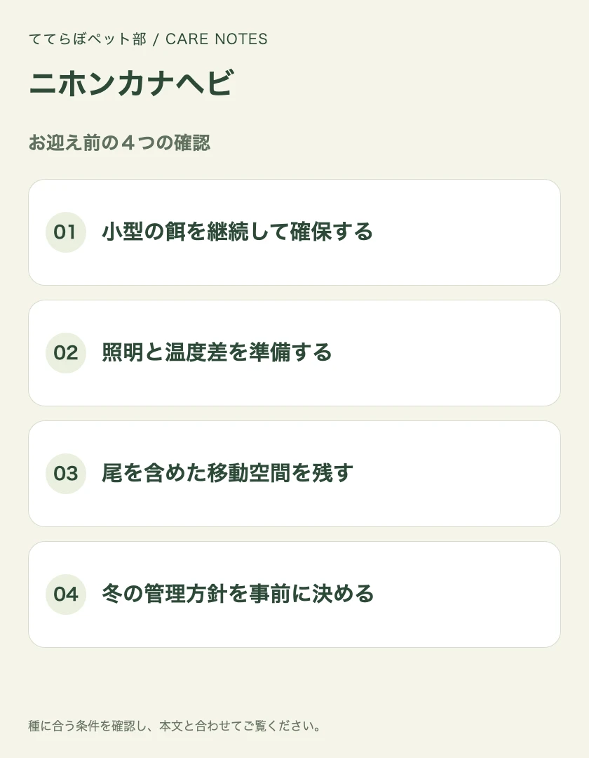 ニホンカナヘビのお迎え前に確認する4項目