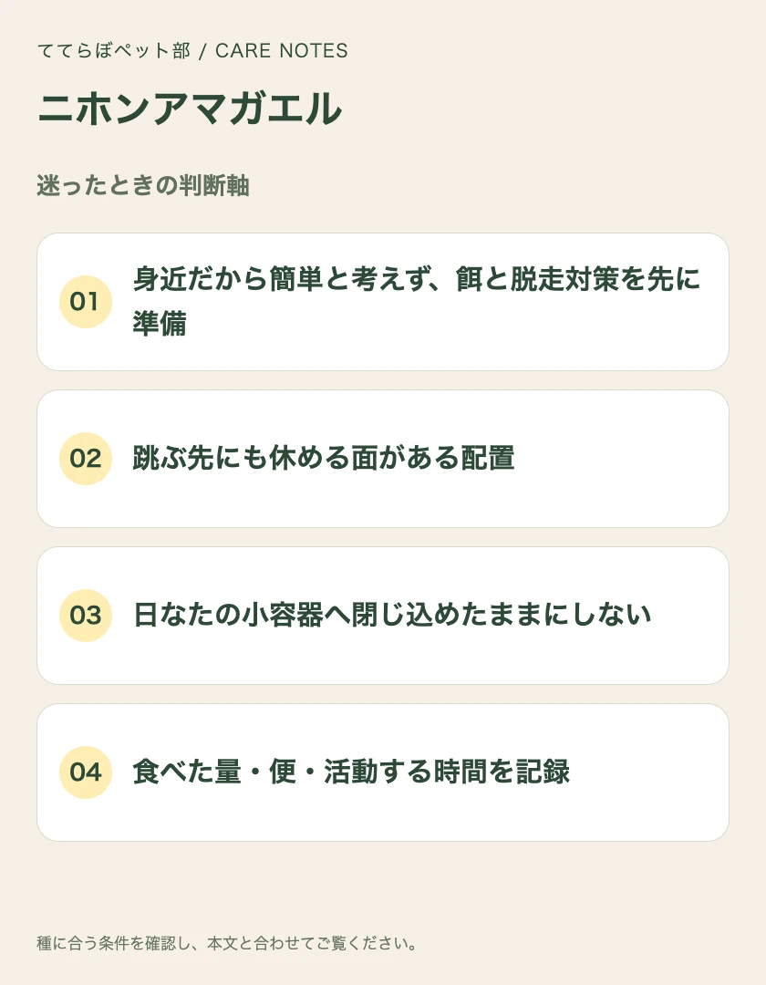 ニホンアマガエルの迷ったときの判断軸