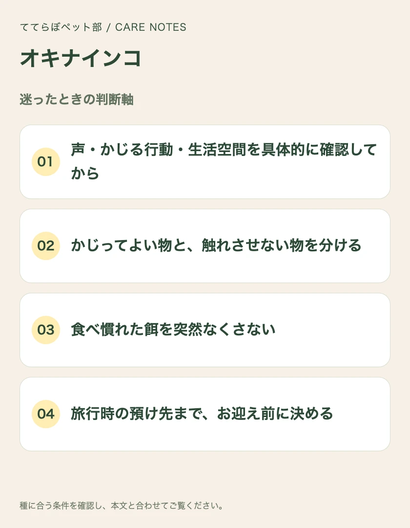 オキナインコの迷ったときの判断軸