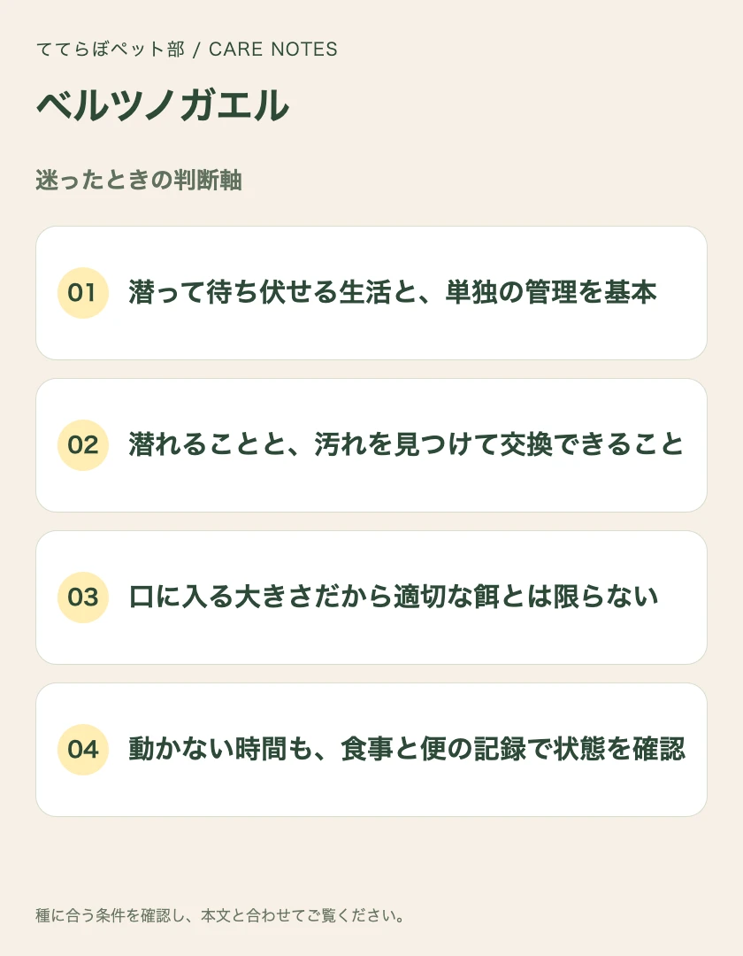 ベルツノガエルの迷ったときの判断軸