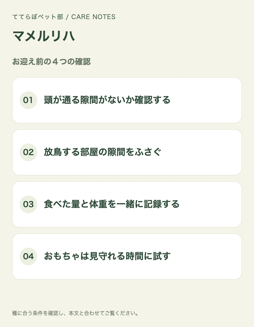 マメルリハのお迎え前に確認する4項目