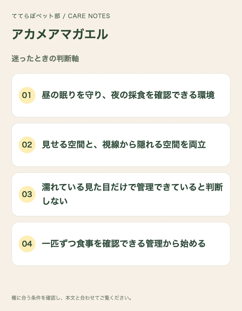 アカメアマガエルの迷ったときの判断軸