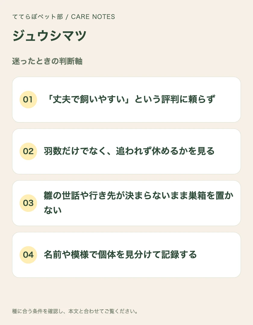 ジュウシマツの迷ったときの判断軸