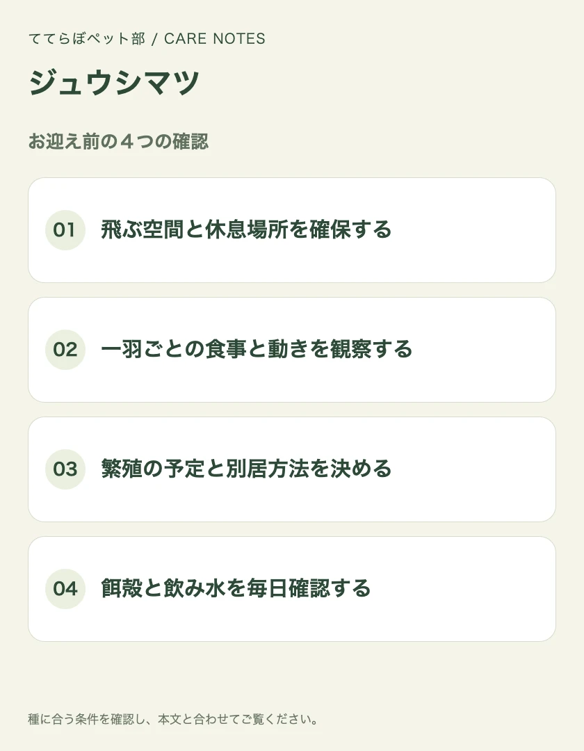 ジュウシマツのお迎え前に確認する4項目