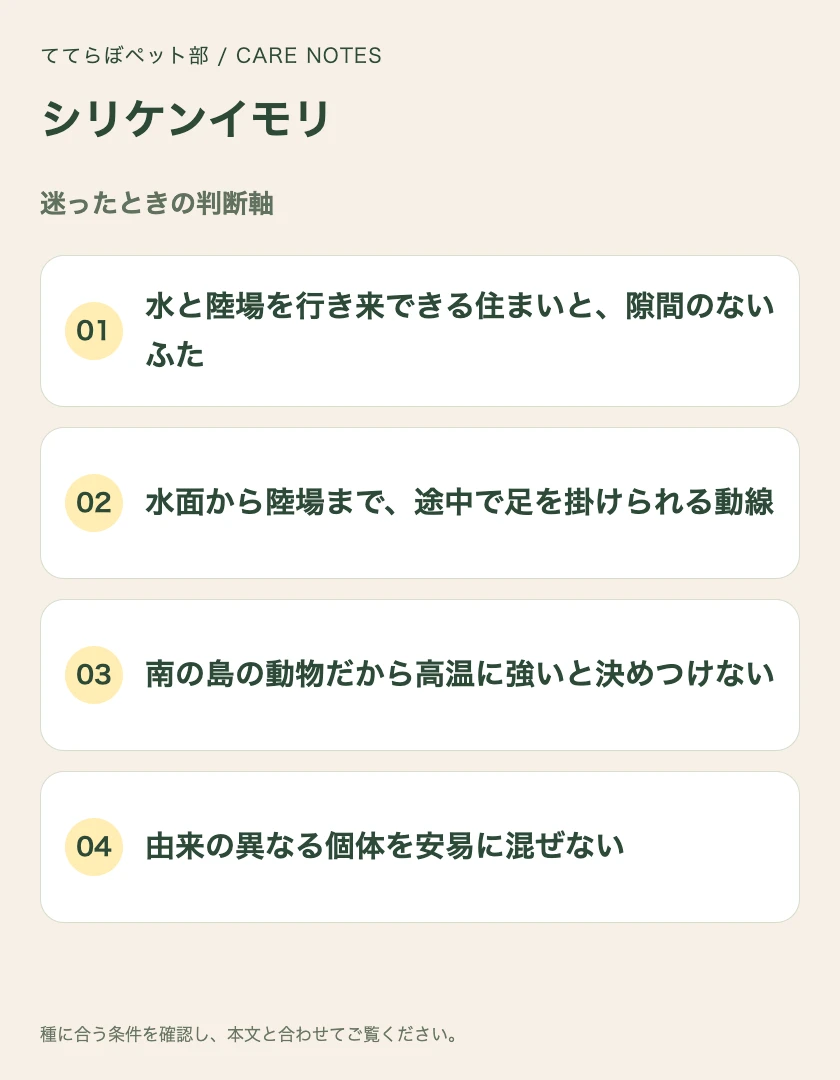 シリケンイモリの迷ったときの判断軸