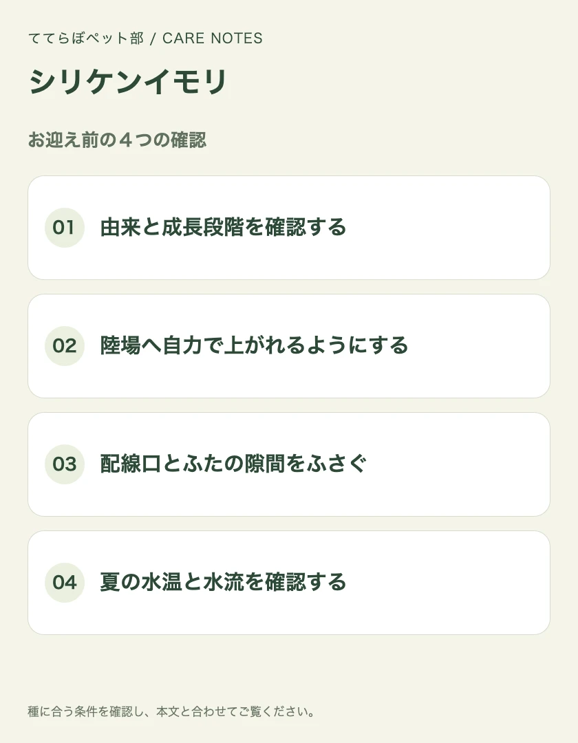 シリケンイモリのお迎え前に確認する4項目