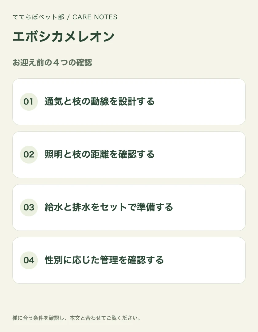 エボシカメレオンのお迎え前に確認する4項目