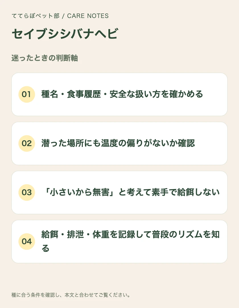 セイブシシバナヘビの迷ったときの判断軸