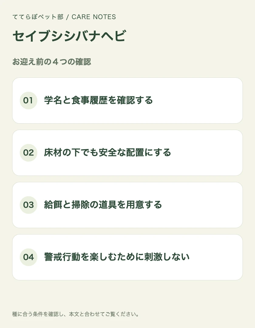 セイブシシバナヘビのお迎え前に確認する4項目