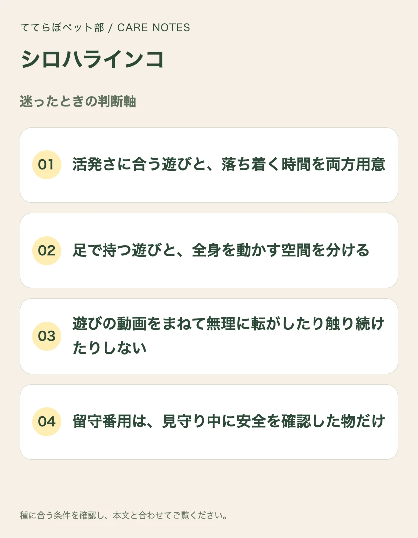 シロハラインコの迷ったときの判断軸