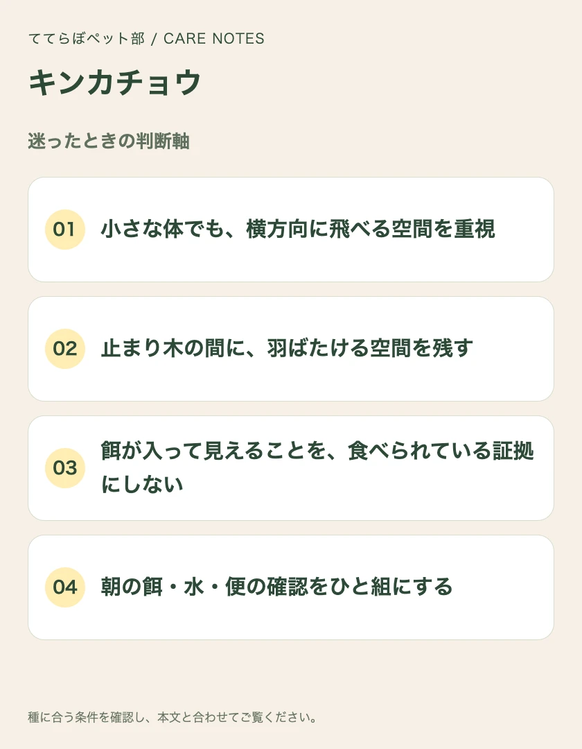 キンカチョウの迷ったときの判断軸