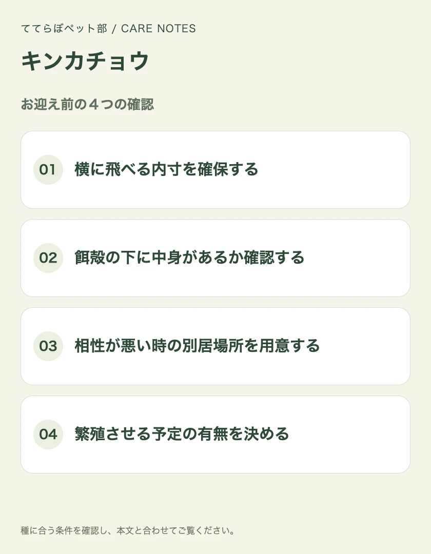 キンカチョウのお迎え前に確認する4項目