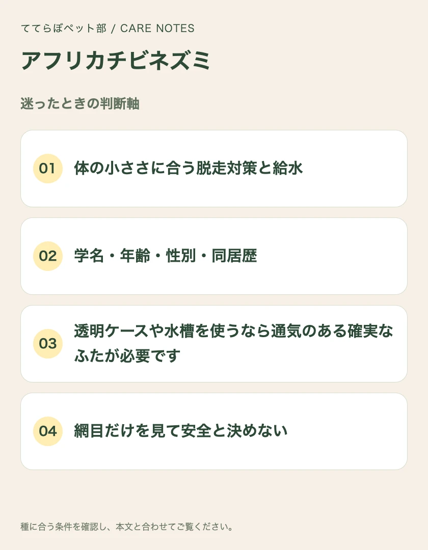 アフリカチビネズミの迷ったときの判断軸