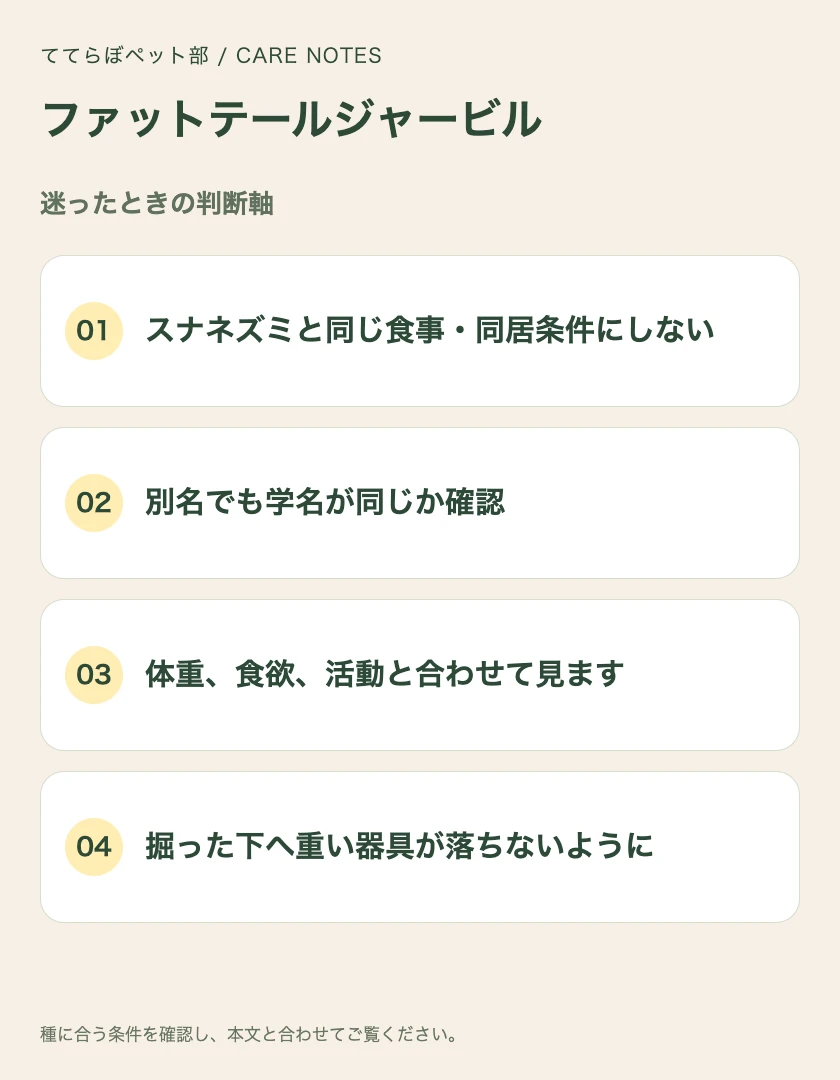 ファットテールジャービルの迷ったときの判断軸