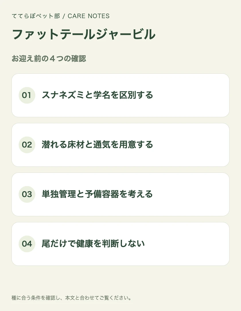 ファットテールジャービルのお迎え前に確認する4項目