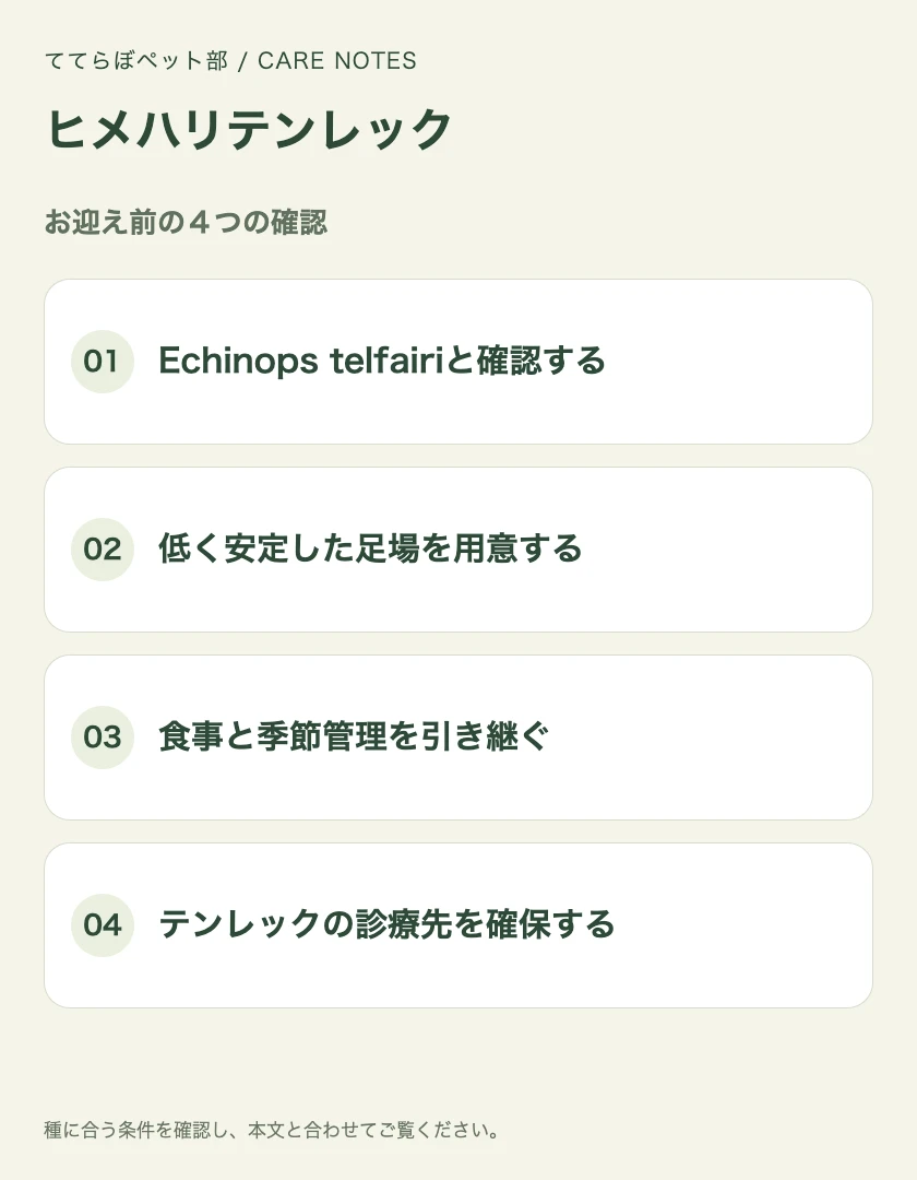 ヒメハリテンレックのお迎え前に確認する4項目